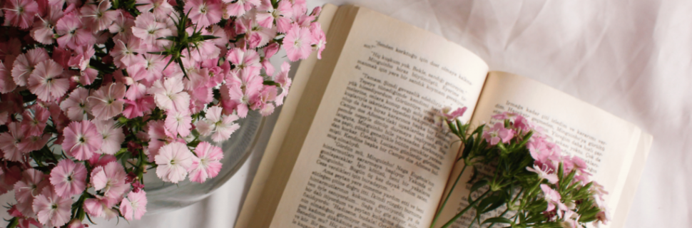 Budai Lotti: Budai Lotti: